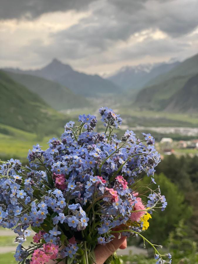 Aura Cottages Kasbegi Buitenkant foto